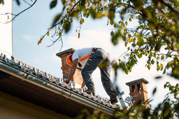 Best Roofing Contractor Near Me  in Oregon, IL